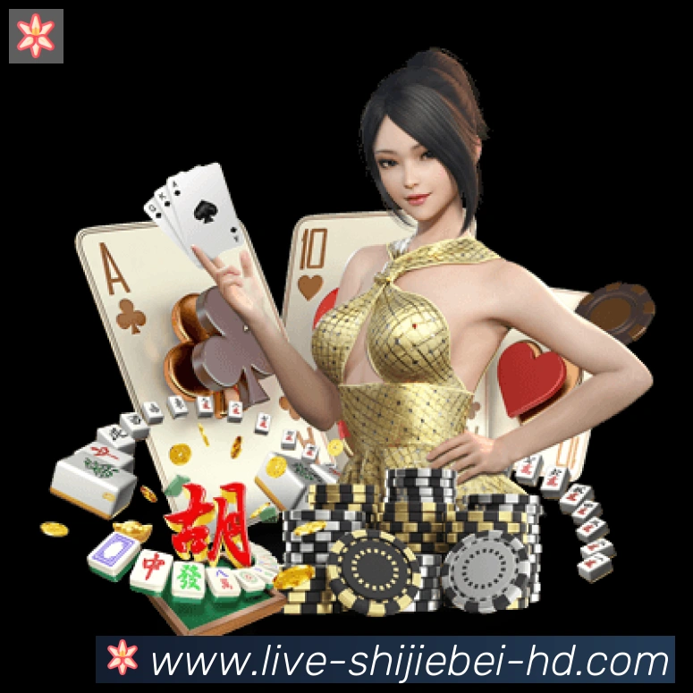 未来规划